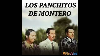 6.- CAMBA NATIVO - Los Panchitos de Montero