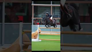 This Horse Tho 🥹🐴 #equestrian #horse #youtube #cute #grandprix