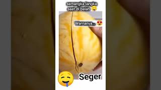 Smangka yang unik, jarang di temukan 🤤 #fyp #viralvideo #trending #youtubeshorts #hobymakan #marvel