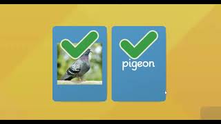 Online vocabulary game. BIRDS 1-10. English. Matching pairs.