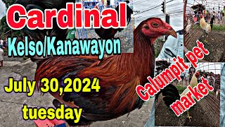 Cardinal/Kelso/Kanawayon,July 30 2024 tuesday Calumpit pet market