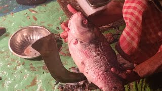 Fish cutting video |কাতলা মাছ কাটিং | #fishing |#Smiletimee