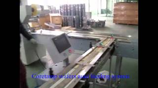 Horizontal wafers packing machine with auto feeding system