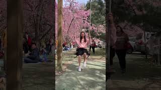 Nagduyan duyan sa kabundokan ng Taiwan #shortvideosonyoutube shortvideos2024