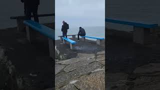 Seal in Dun Laoghaire | Dublin | 11 March 2024 #ireland #sea #irish