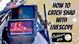 How to catch baitfish with LiveScope!