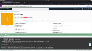 Oracle Linux OCI | Entrar al modo rescue(root acount locked)