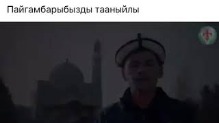 Пайгамбарды тааныйлы