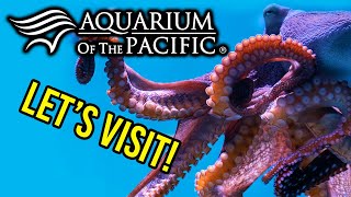 Aquarium Of The Pacific - This place is MASSIVE