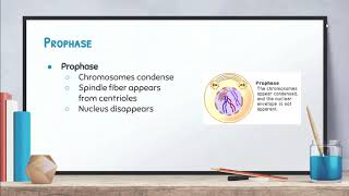 Biology: Video 6-2: Mitosis