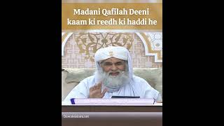 Madani Qafilah Deeni kaam ki reedh ki haddi he #dawateislami #ameereahlesunnat #tarbiyat #rahekhuda