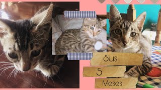 Los 5 meses de mi bebe (su crecimiento)