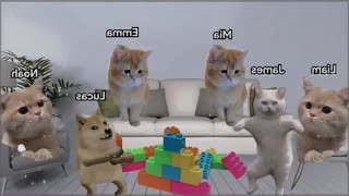 Epic meme Cat & Dog LEGO Party! Funniest Kitten Moments You Can