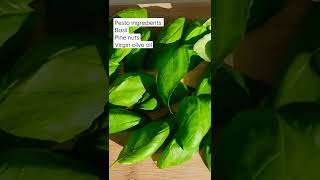 Simple pesto making with homegrown basil