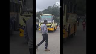 TNSTC Ooty to Masinagudi Wild Life Journey Bus Timing#tnstcootytomasinagudiwildlifejourneybustiming#