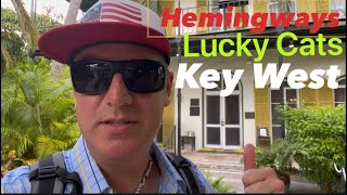 Key West: Hemingway’s Cats