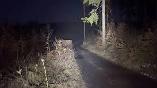 Astrolux MF01s - 15 000 lumen - road in the forest