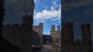 Caernarfon Castle 11