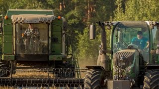 Żniwa/Harvest 2016 - Fendt 716 Vario & 5220E