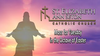 Mass for Tuesday in the Octave of Easter