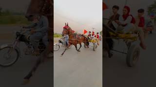 How to horse ride💥🔥💥 #shortvideo #horser #horseracing #horselover #apnatangaracer #stylish 🔥