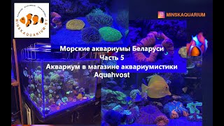 Морской аквариум в магазине аквариумистики Аквахвост. Морские аквариумы Беларуси. Часть 5.