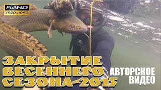 Подводная охота - закрытие весеннего сезона 2015. Енисейский дракон