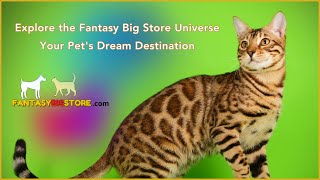 🦌 Explore the Fantasy Big Store Universe - Your Pet's Dream Destination! #petstore #petsproducts