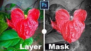 How to Photoshop Layer Masks For Beginners Tutorial