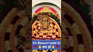 Us Bansuri Wale Ki #shortsfeed #khatu #khatushyam #babashyam #shorts #shortvideo #videos #khatu