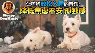 🐶【狗狗也爱听音乐! 毛孩摇篮曲】8小时让狗狗深度放松的音乐🐶小狗安眠音乐 宠物疗愈音乐  🎵🎶  放松毛孩子的心情，降低焦虑和紧张情绪  放松你的狗狗  睡眠音乐 安抚放松你的狗狗