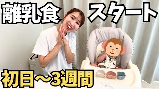 【生後5か月】離乳食初日～3週間の様子！10倍粥/野菜ストック/しらす/豆腐