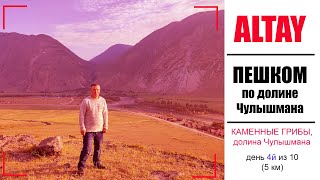 АЛТАЙ | ПЕШКОМ Кату Ярык - Телецкое озеро |  День 4 из 10