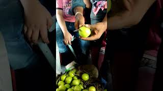 Local #train वाली अमरूद healthy food #guava fruit cutting in local train #kolkata