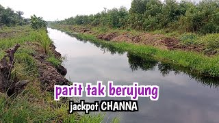 YAKIN..!!? PARIT INI BAKAL JADI INCARAN DAN IDAMAN PEMANCING GABUS