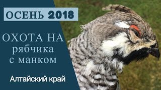 Охота на рябчика с манком