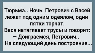 Как Петрович в Тюрьме Доигрался! Сборник Свежих Анекдотов! Юмор!