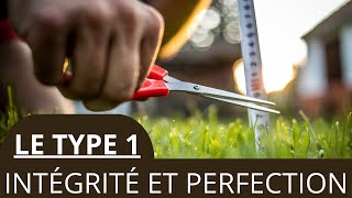 B - 12 TYPE 1 : INTÉGRITÉ ET PERFECTION (DESCRIPTION GÉNÉRALE)