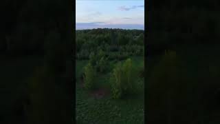 Quadrocopter test