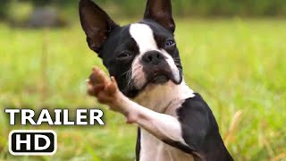 STRAYS Trailer 2023 Isla Fisher, Will Ferrell, Jamie Foxx, Comedy Movie | Movie Trailers