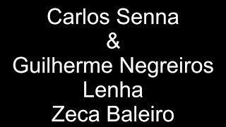 lenha, Zeca Baleiro Cover