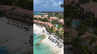 Discover Aruba: Pristine Beaches & Dutch Charm! #shorts  #travel