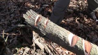 Gransfors Bruks Mini Hatchet (Close-up) (HD)