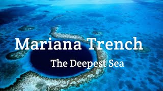 Mariana Trench The Deepest Sea | सबसे गहरी जगह | GP Knowledge