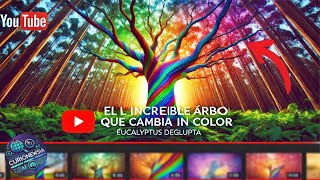 ¿El árbol que cambia de color? ¡Eucalipto Arcoiris!