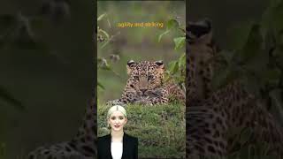 AI Avatar Fun Facts | Leopards Are... | #ai #shorts