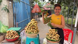 Street Food Tour at Kien Svay District , Cambodia