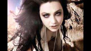 Evanescence - Taking Over Me (2012).