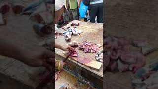 Africa fish market