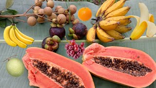 Makan buah buahan segarr di kebun